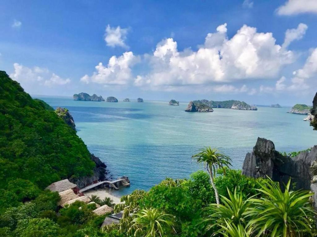 Review Monkey Island Resort